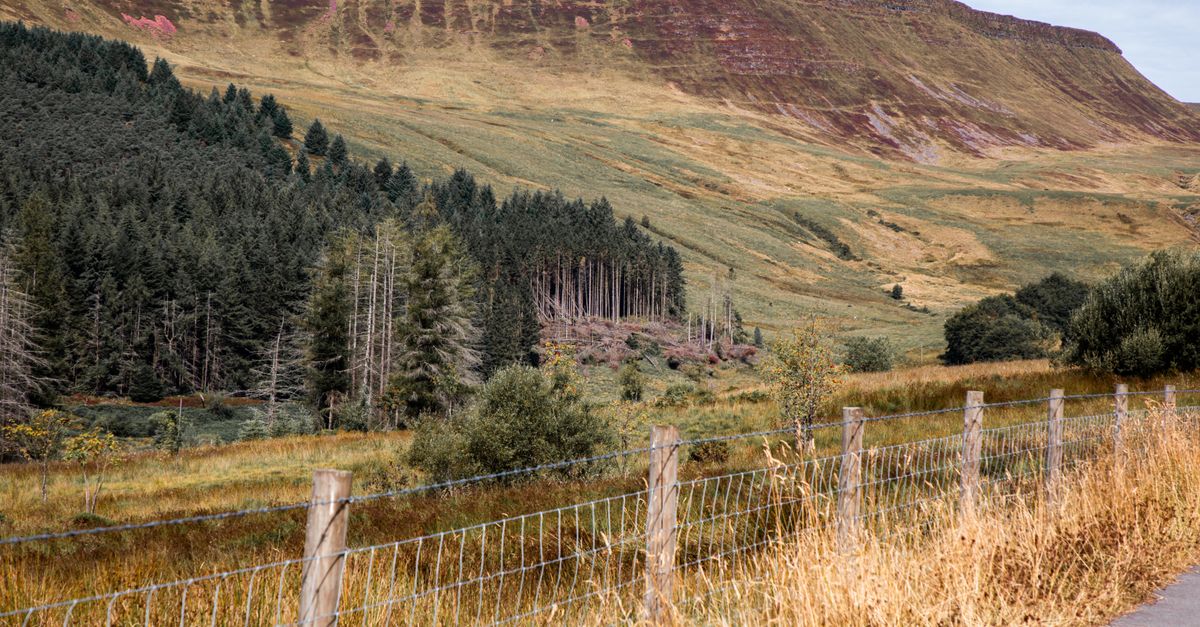 Idyllic landscape of Brecon Beacons with lush greenery and rolling hills in Wales.