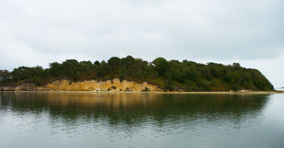 Serene island landscape reflection in calm waters near Poole, UK