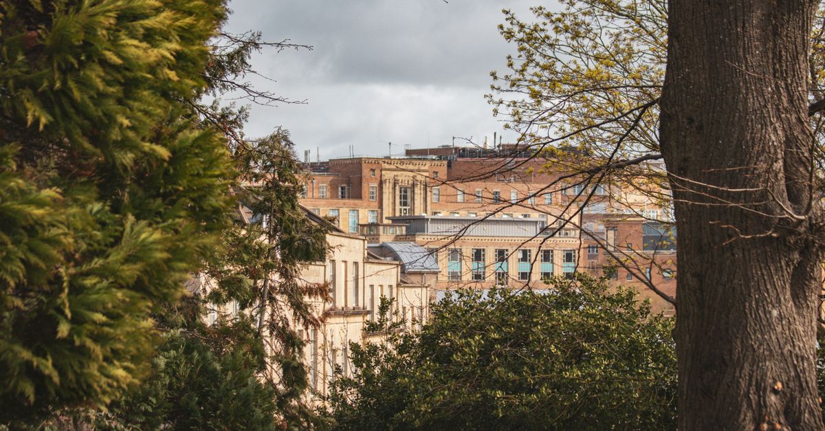 Captivating view of Bristol's urban architecture framed by lush greenery, showcasing a harmonious blend of city and nature.