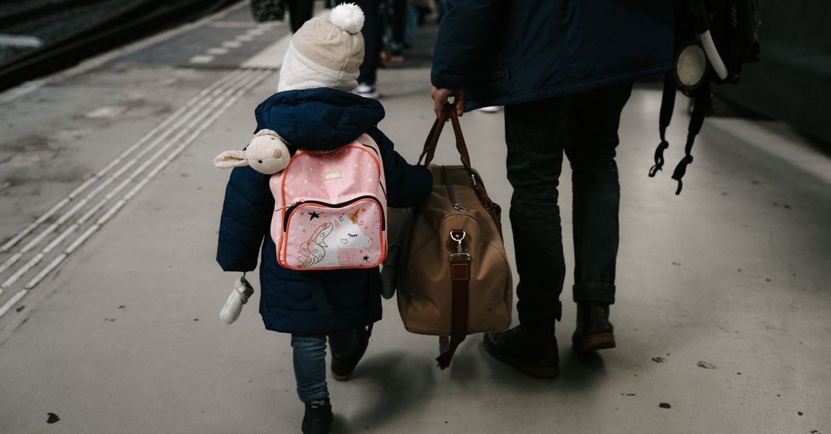 A parent and young child walking with travel bags, seen from behind